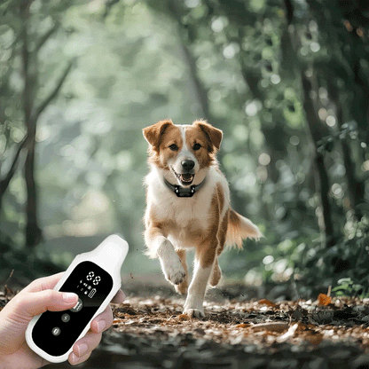 Dog Training Collar – Waterproof