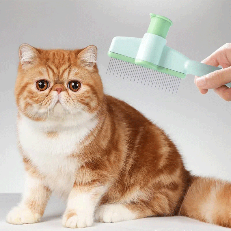 Cat Grooming - Hair Removal & Comb