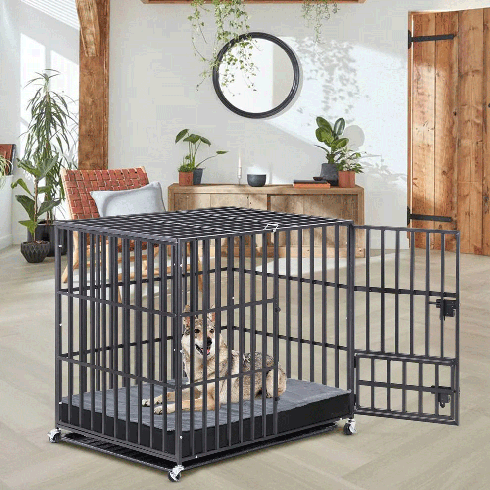 Washable Dog Bed – Orthopedic