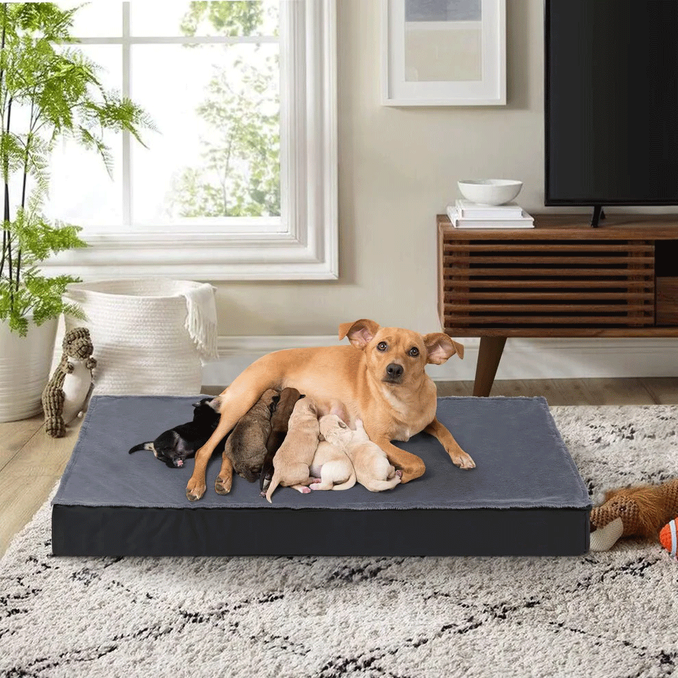 Washable Dog Bed – Orthopedic