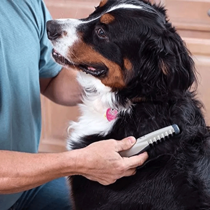 Pet Grooming Comb - Electric