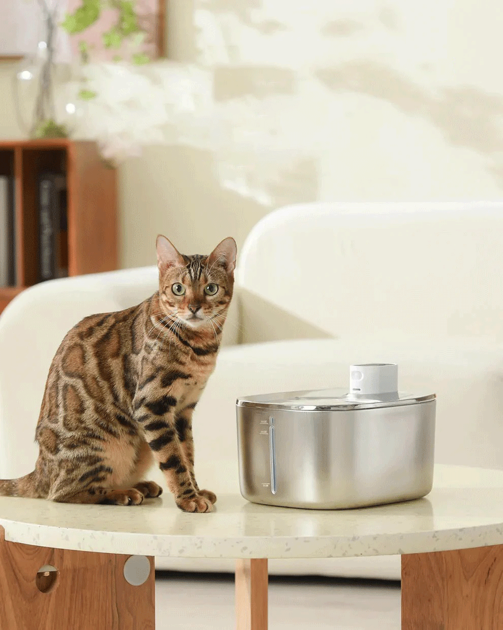 Cat Fountain - 4L Auto Sensor Drink Bowl