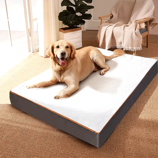 Waterproof Dog Bed – All Sizes
