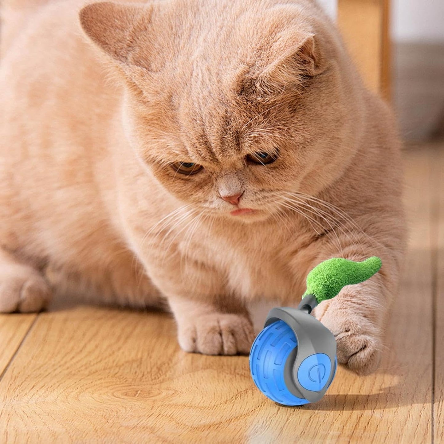 Smart Dog Toy Ball – Electric & Durable