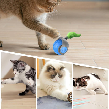 Smart Dog Toy Ball – Electric & Durable