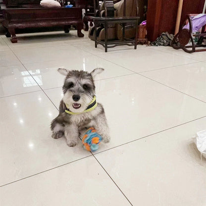 Snuffle Ball Dog Puzzle Toys Increase IQ Slow Dispensing Feeder Pet Cat Training Games Feeding Feeding Food Intelligence Toy