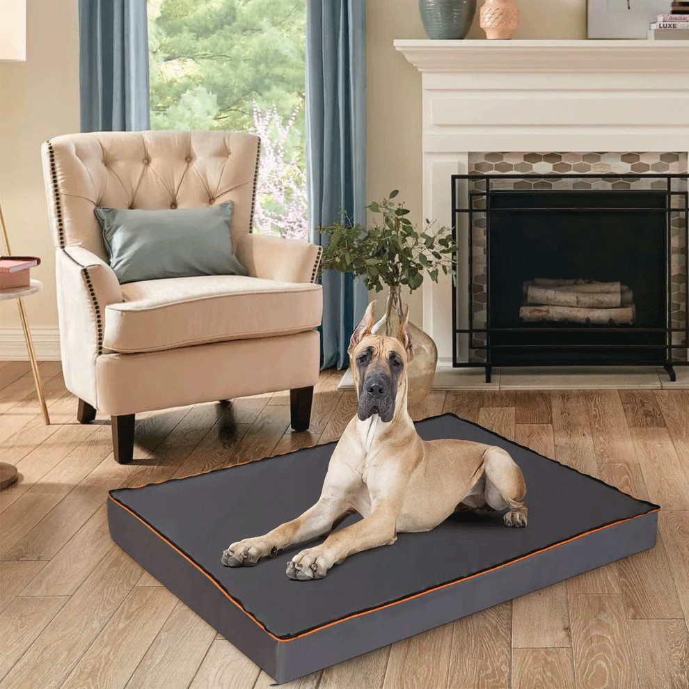 Waterproof Dog Bed – All Sizes
