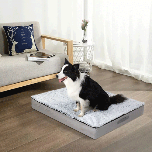 Calming Orthopedic Dog Bed – L–3XL