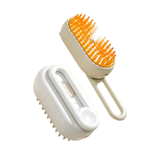 Electric Brush - Steam Spray & Massage