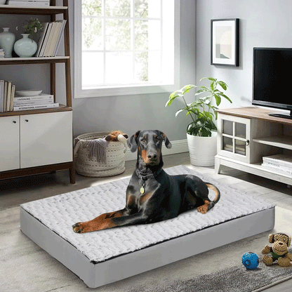 Calming Orthopedic Dog Bed – L–3XL