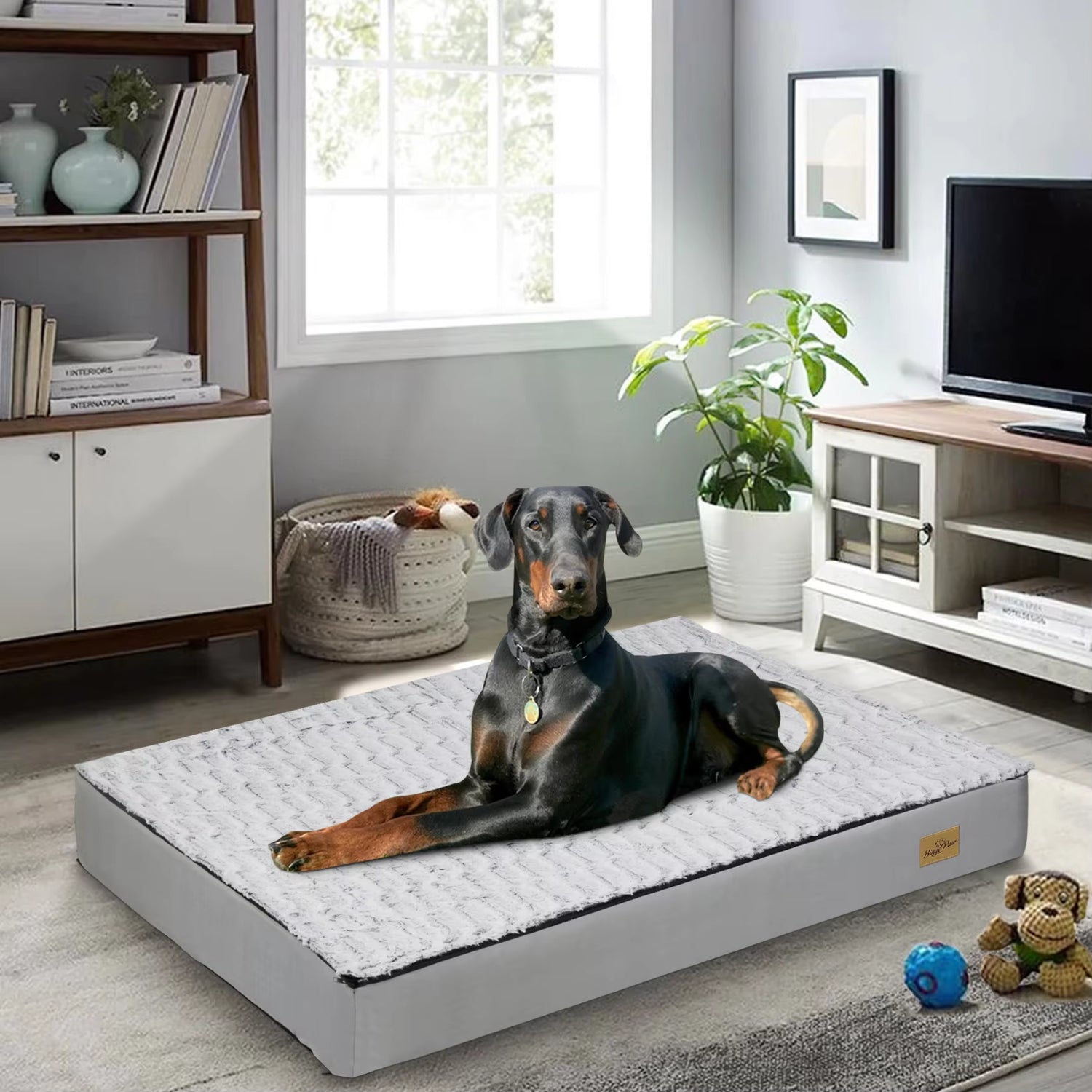 Calming Orthopedic Dog Bed – L–3XL