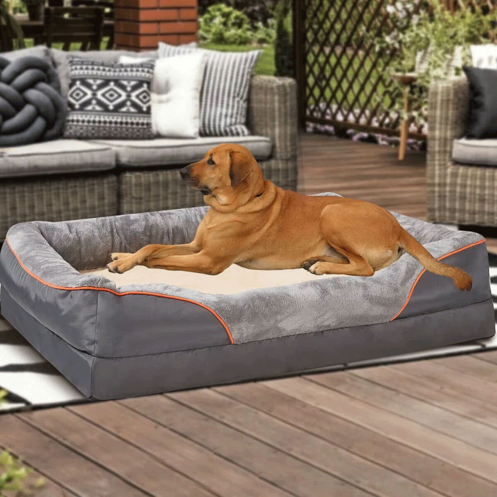 Jumbo Orthopedic Dog Sofa Bed