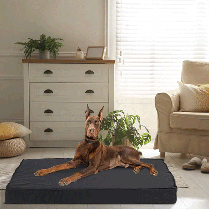 Washable Dog Bed – Orthopedic
