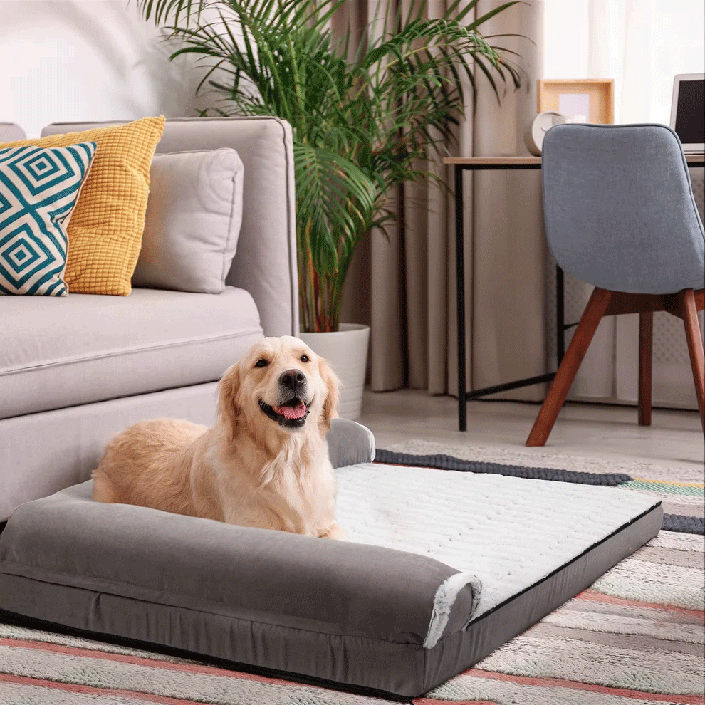 Heavy Duty Dog Sofa Bed – Plush