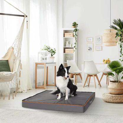 Waterproof Dog Bed – All Sizes