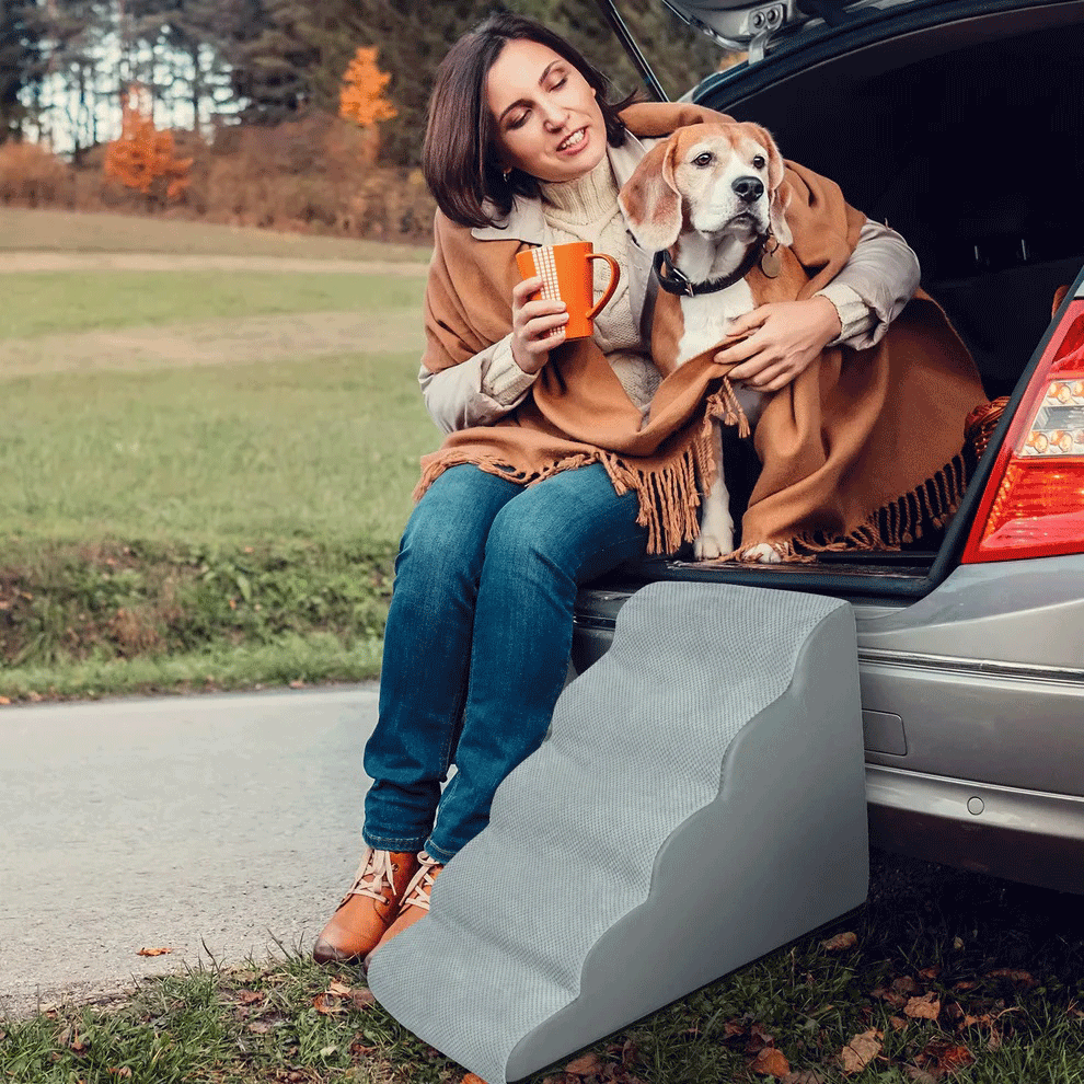Non-Slip Stairs for Dogs & Cats