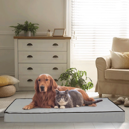Calming Orthopedic Dog Bed – L–3XL