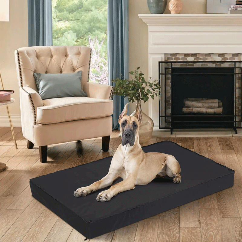 Washable Dog Bed – Orthopedic