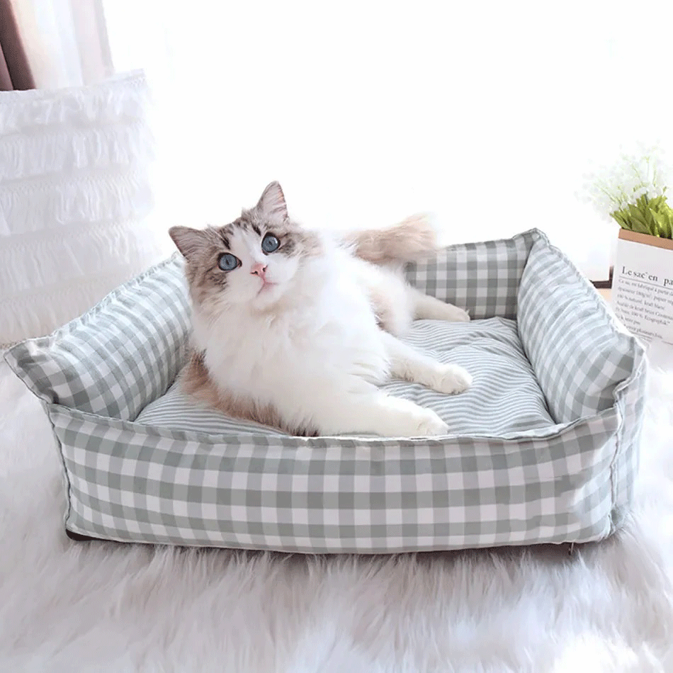 Lattice Bed for Cats & Dogs