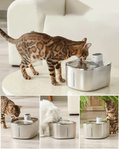 Cat Fountain - 4L Auto Sensor Drink Bowl