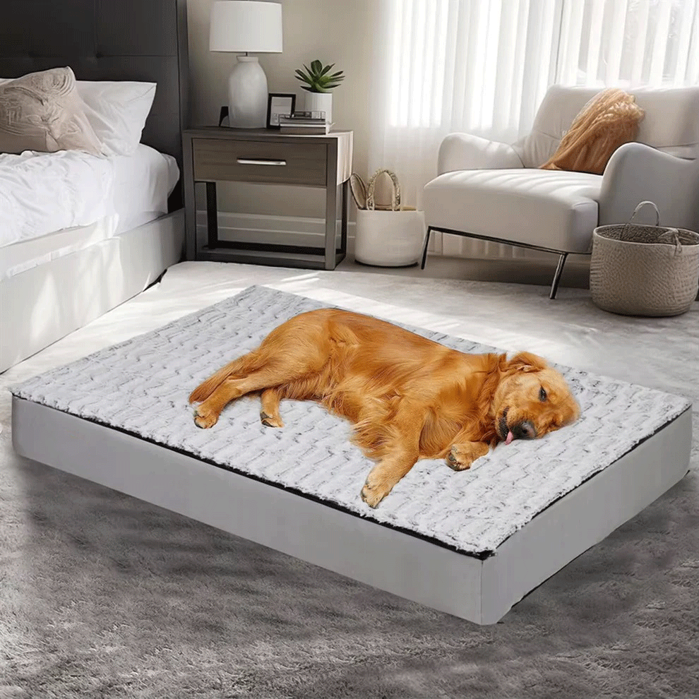 Calming Orthopedic Dog Bed – L–3XL