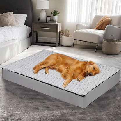 Calming Orthopedic Dog Bed – L–3XL